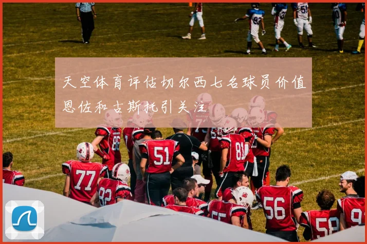 天空体育评估切尔西七名球员价值恩佐和古斯托引关注