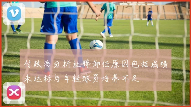 付政浩分析杜锋卸任原因包括成绩未达标与年轻球员培养不足